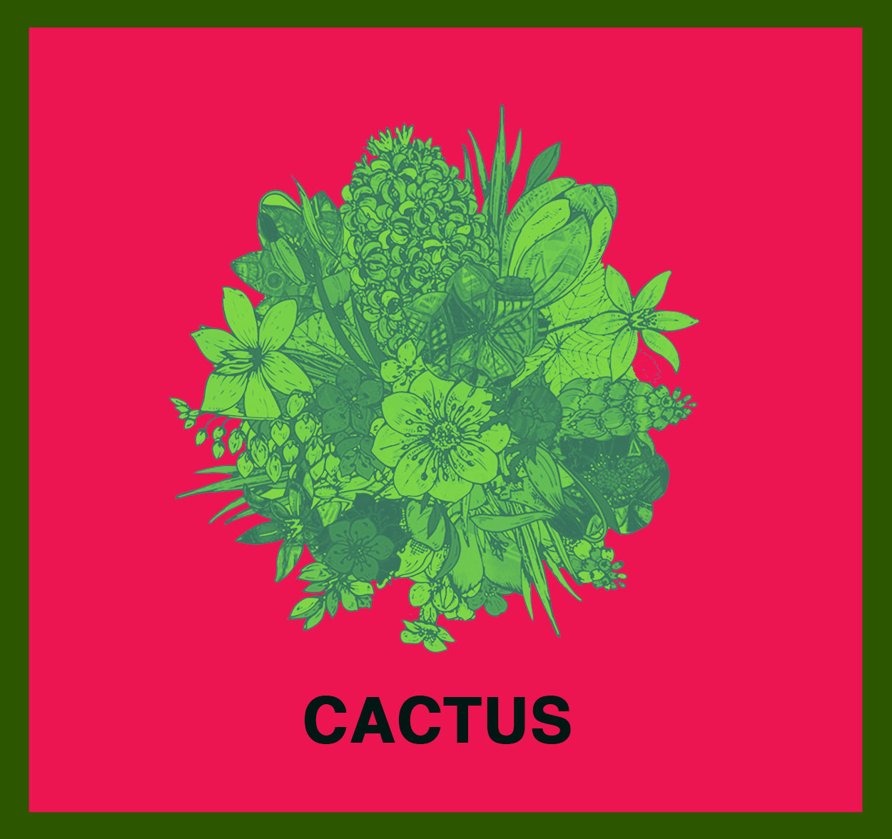 CACTUS - ANICKO CAMISOLE