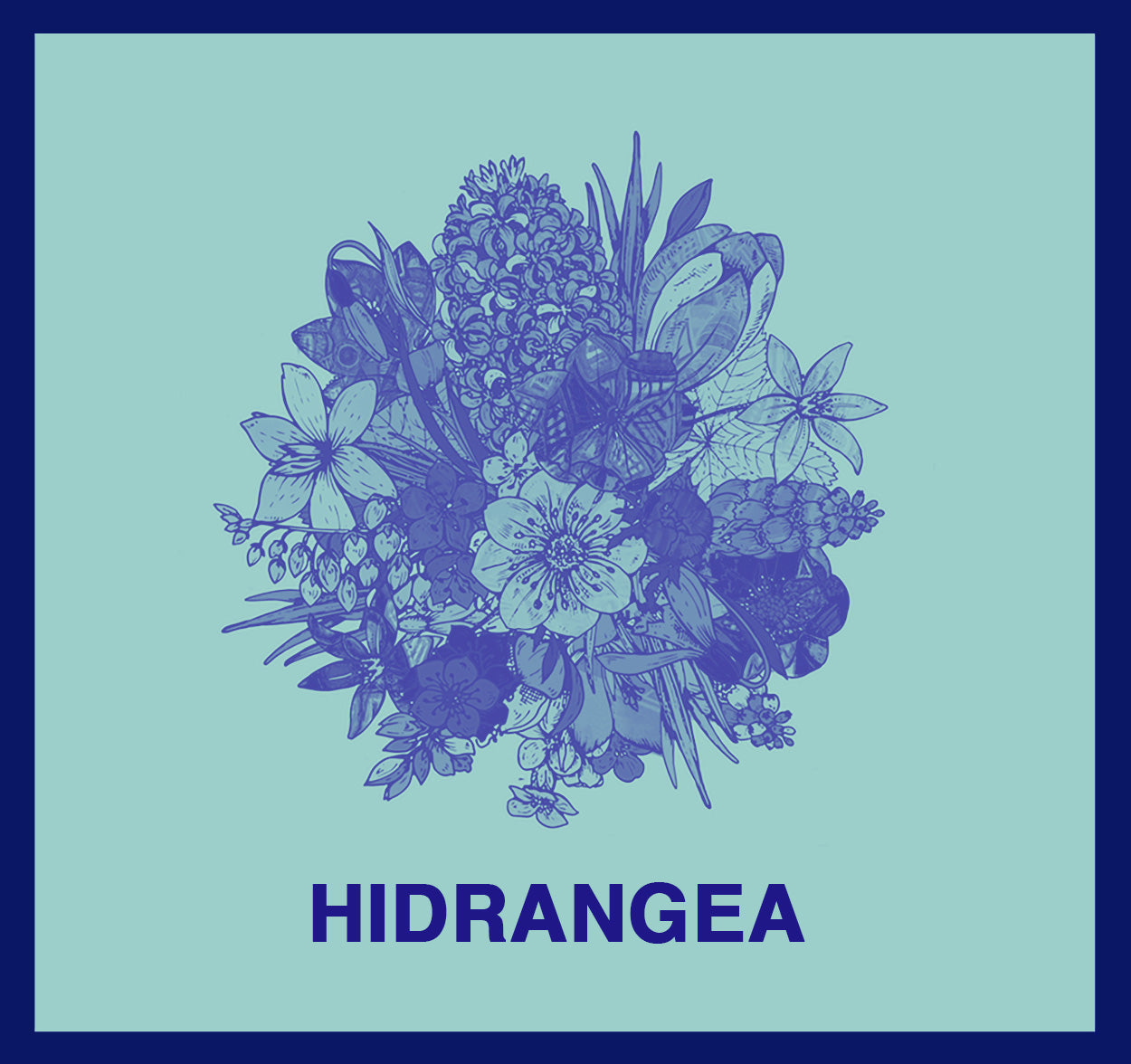 HIDRANGEA - ANICKO CAMISOLE