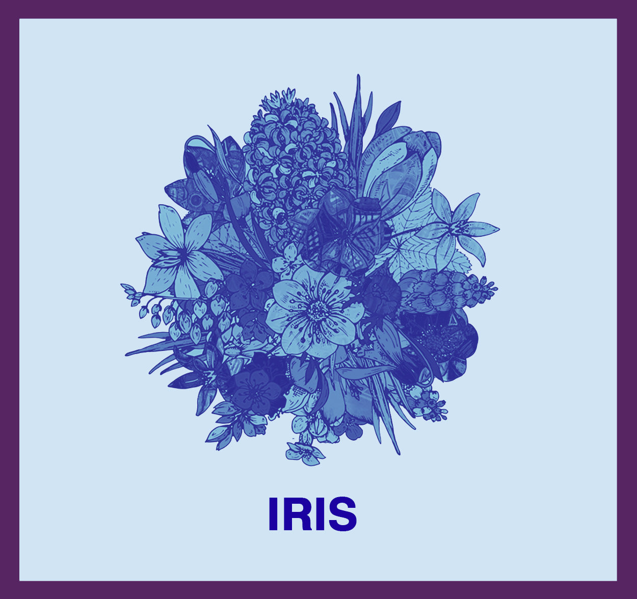 IRIS - ANICKO CAMISOLE