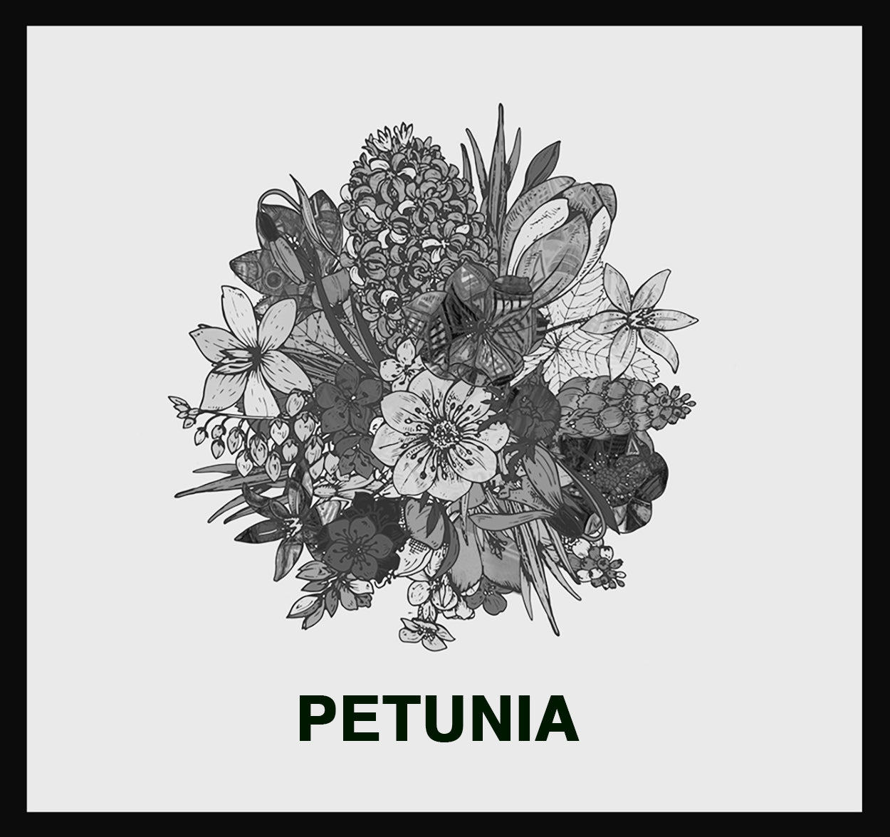 PETUNIA - ANICKO CAMISOLE